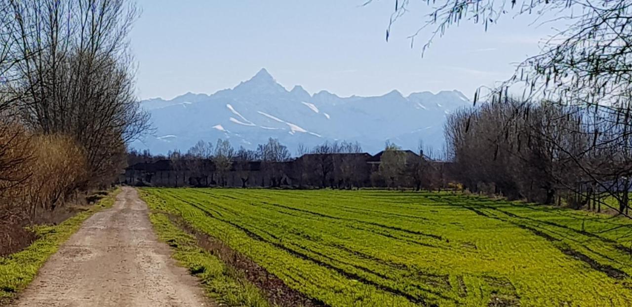 La Corte B&B 坎迪奥洛 外观 照片